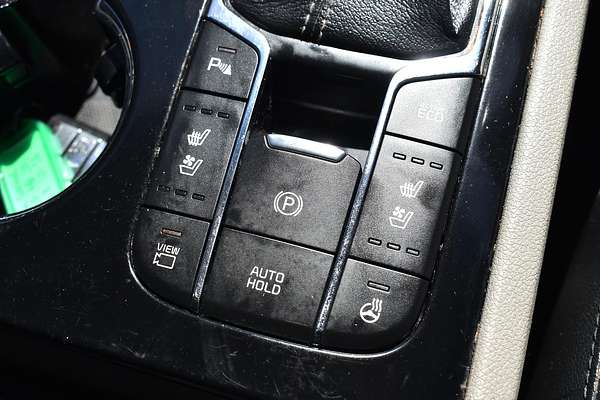 2019 Kia Carnival Platinum YP