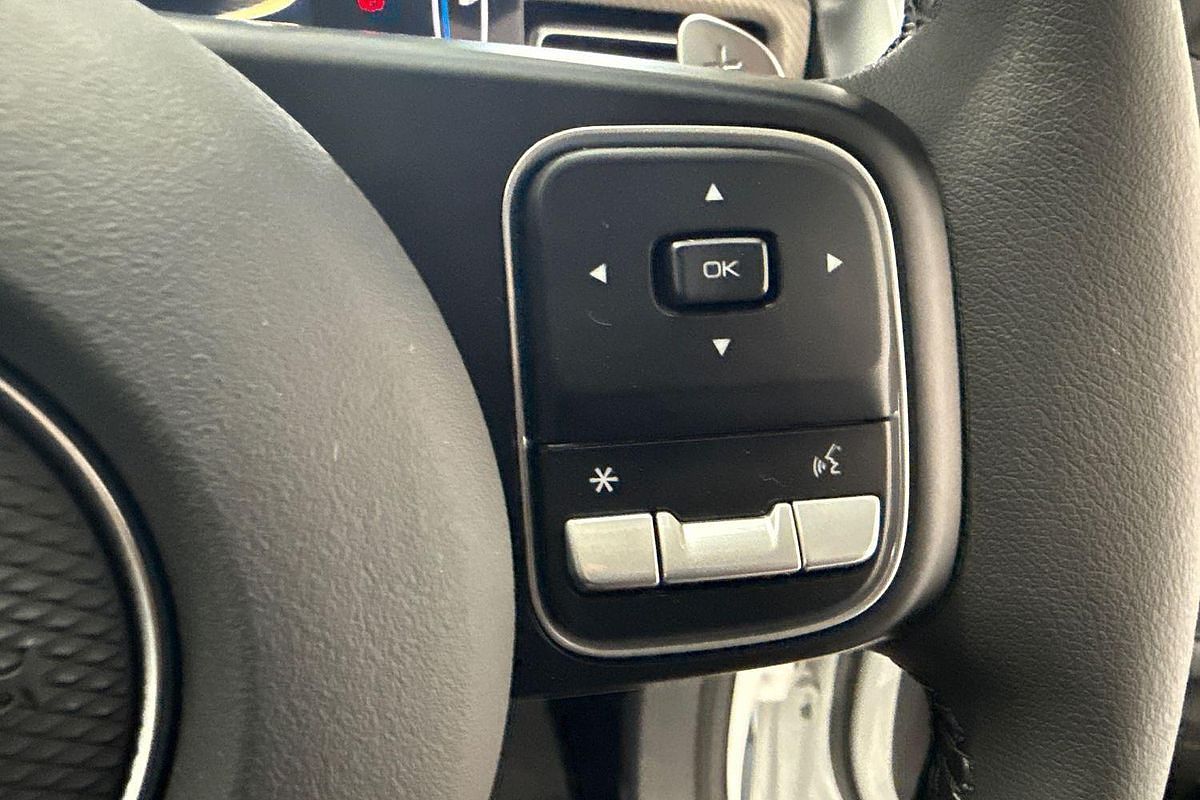 2025 GWM Ute Cannon Premium NPW 4X4