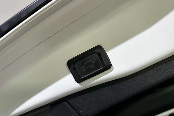 2020 Toyota RAV4 Cruiser AXAH52R