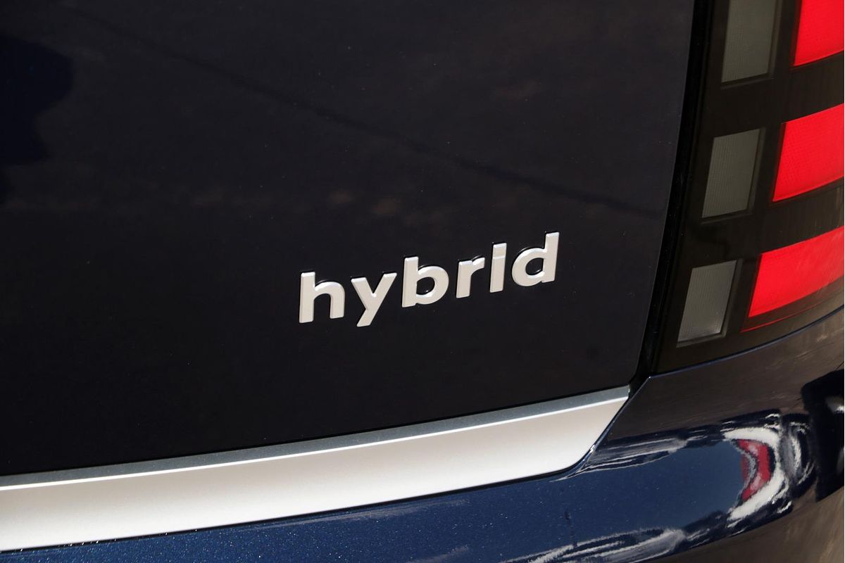 2025 Hyundai Palisade Calligraphy LX3.V1