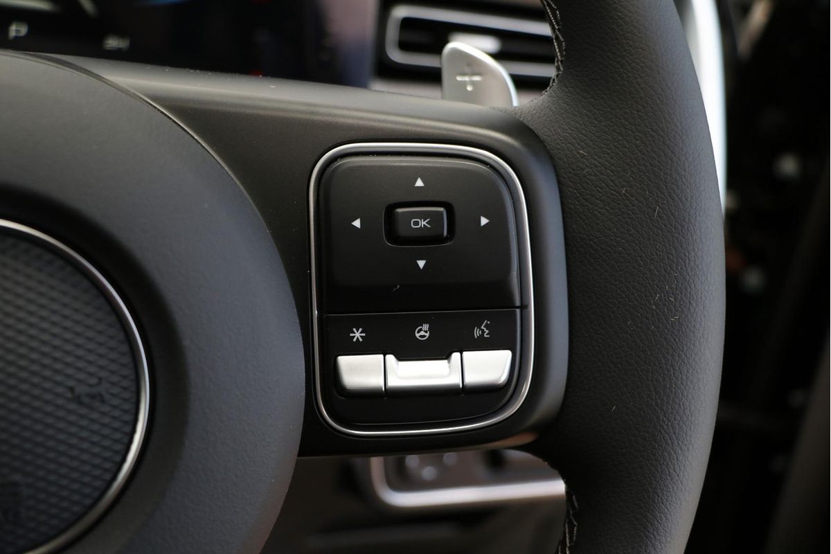 2025 GWM Cannon XSR NPW 4X4