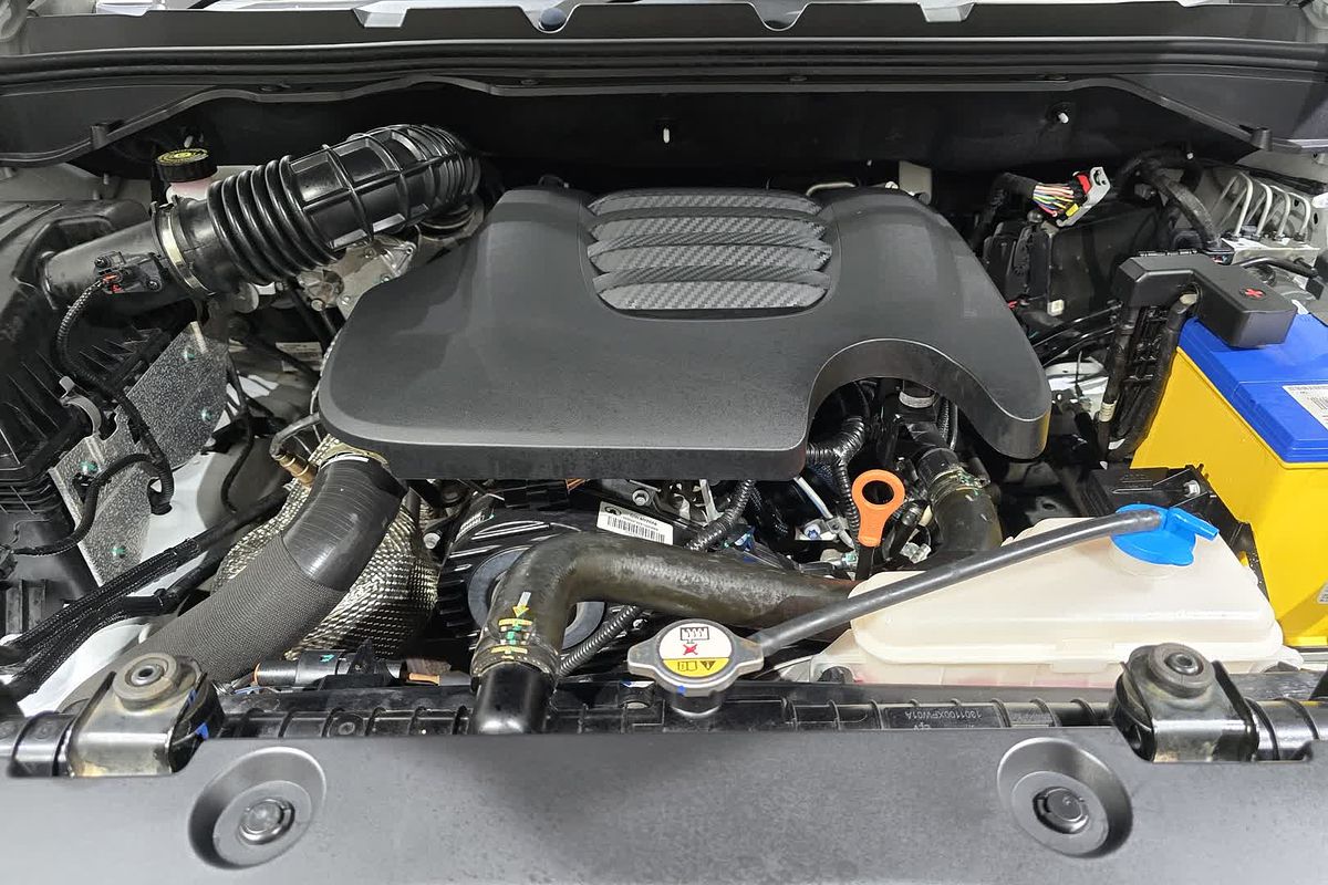 2021 GWM Ute Cannon-X NPW 4X4