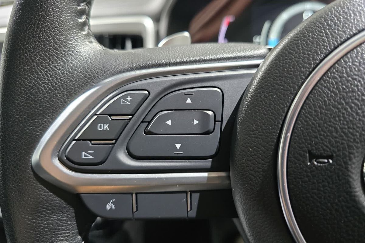 2021 GWM Ute Cannon-X NPW 4X4