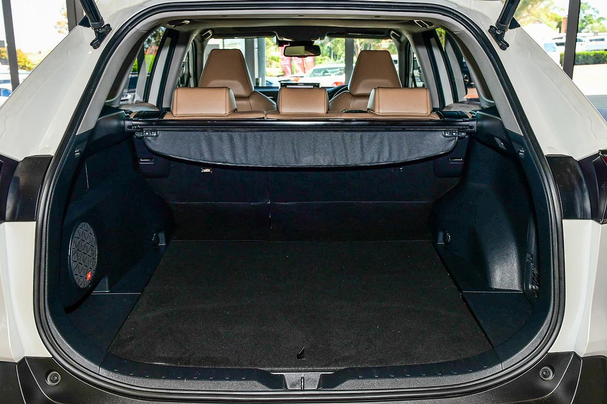 2019 Toyota RAV4 Cruiser AXAH54R