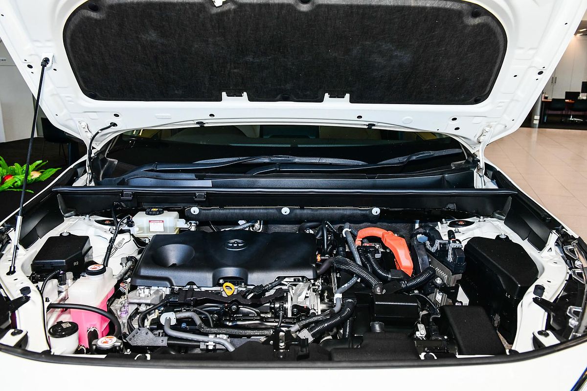 2019 Toyota RAV4 Cruiser AXAH54R