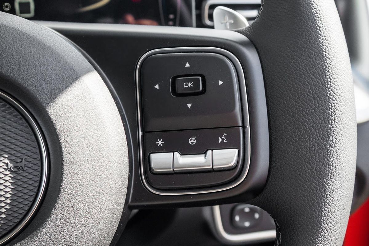 2025 GWM Cannon Vanta NPW 4X4