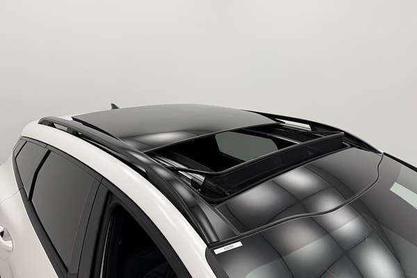 2025 Kia Sportage GT-Line NQ5 PE