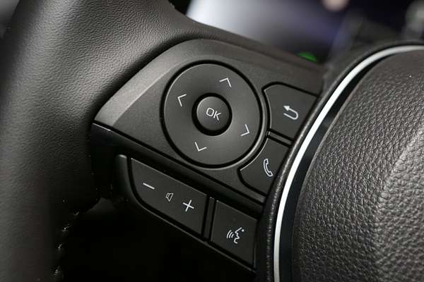 2025 Toyota RAV4 Cruiser AXAH54R