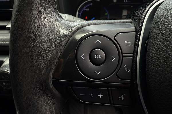 2019 Toyota RAV4 Cruiser AXAH52R