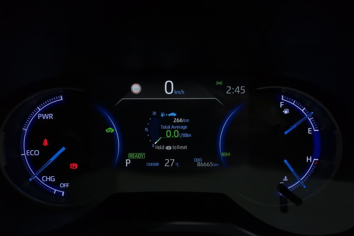 2020 Toyota RAV4 Cruiser AXAH52R