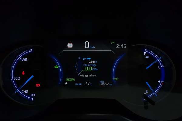 2020 Toyota RAV4 Cruiser AXAH52R