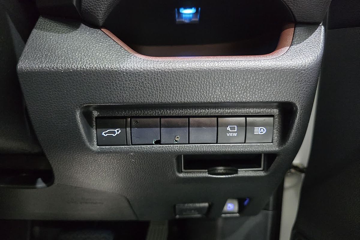 2020 Toyota RAV4 Cruiser AXAH52R