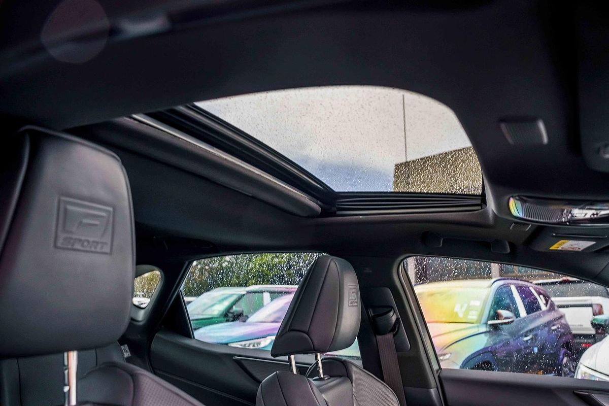 2022 Lexus NX NX450h+ F Sport AAZH26R