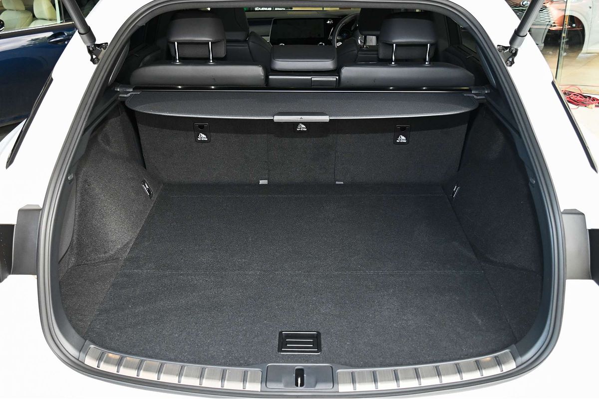 2025 Lexus RX RX500h F Sport Performance TALH17R