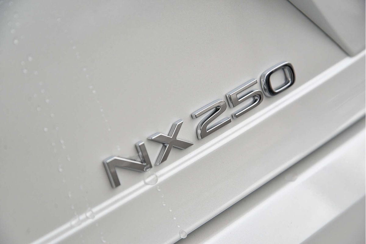 2025 Lexus NX NX250 AAZA20R