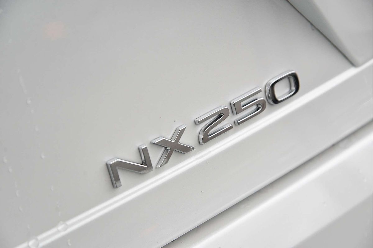 2025 Lexus NX NX250 AAZA20R