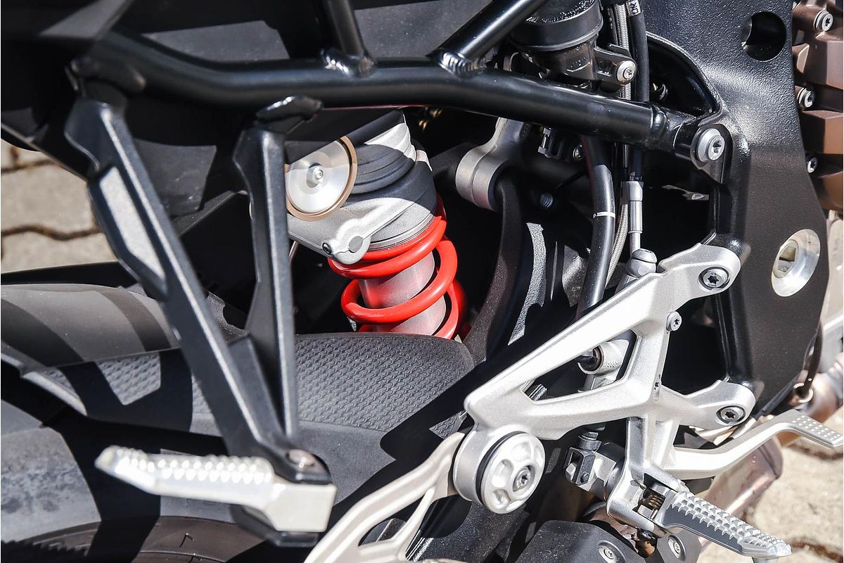 2024 BMW S 1000 R Race S 1000