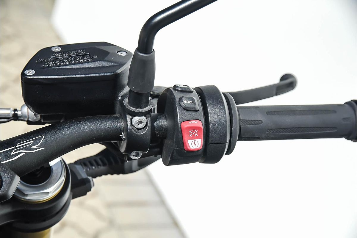 2024 BMW S 1000 R Race S 1000