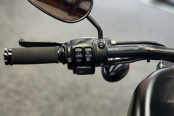 2021 Harley-Davidson Sportster S (RH1250S) IRON 883