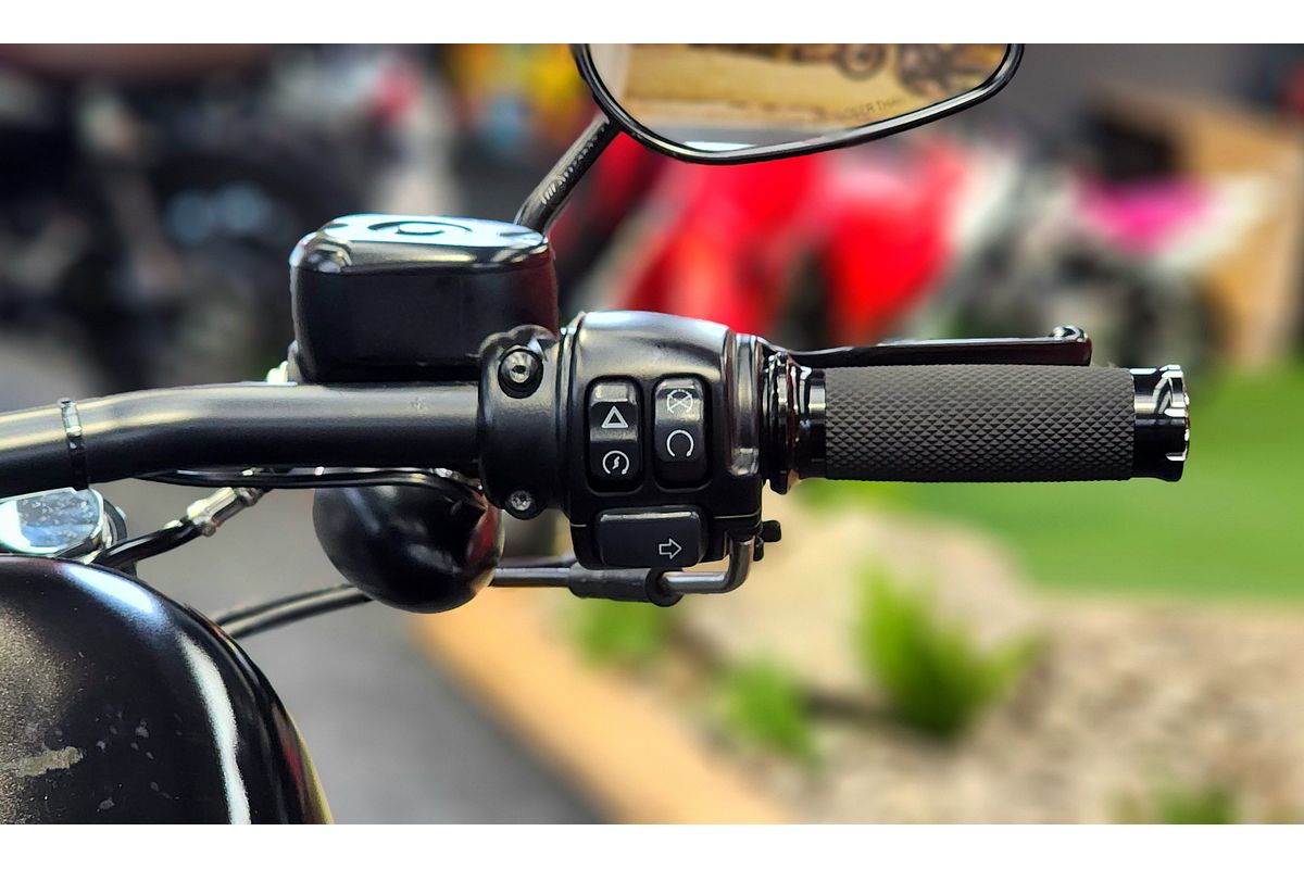 2021 Harley-Davidson Sportster S (RH1250S) IRON 883