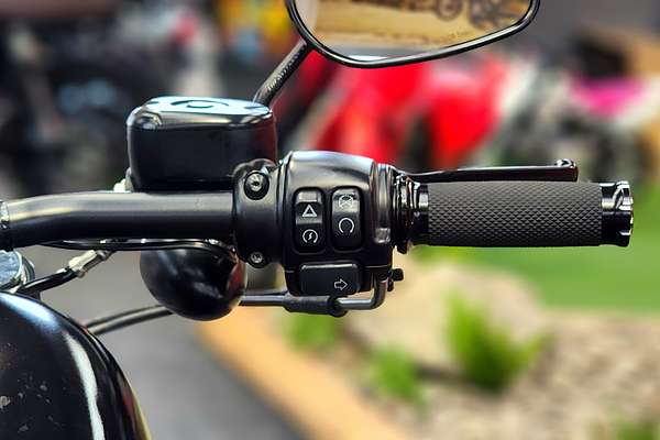 2021 Harley-Davidson Sportster S (RH1250S) IRON 883