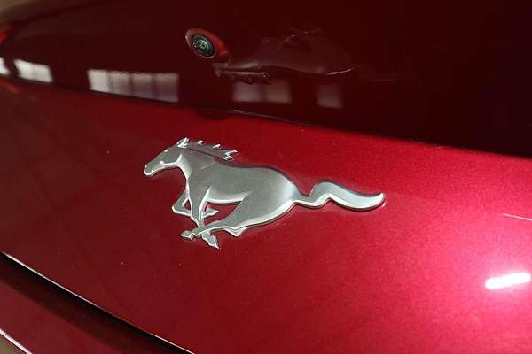 2025 Ford Mustang Ecoboost FO