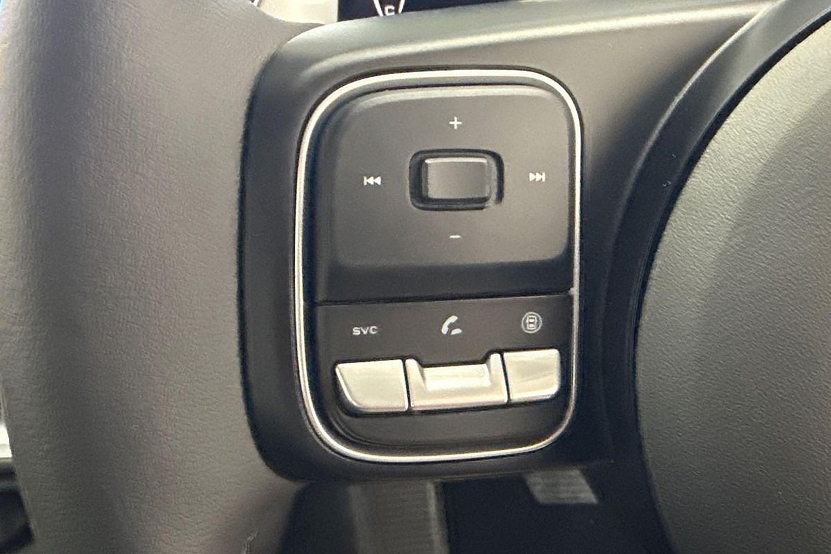 2025 GWM Ute Cannon Premium NPW 4X4