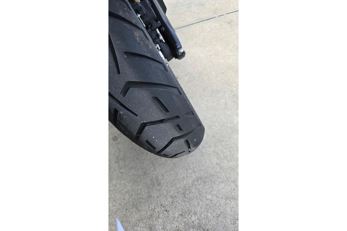 2025 BMW F 900 GS Adventure Ride Pro F 900