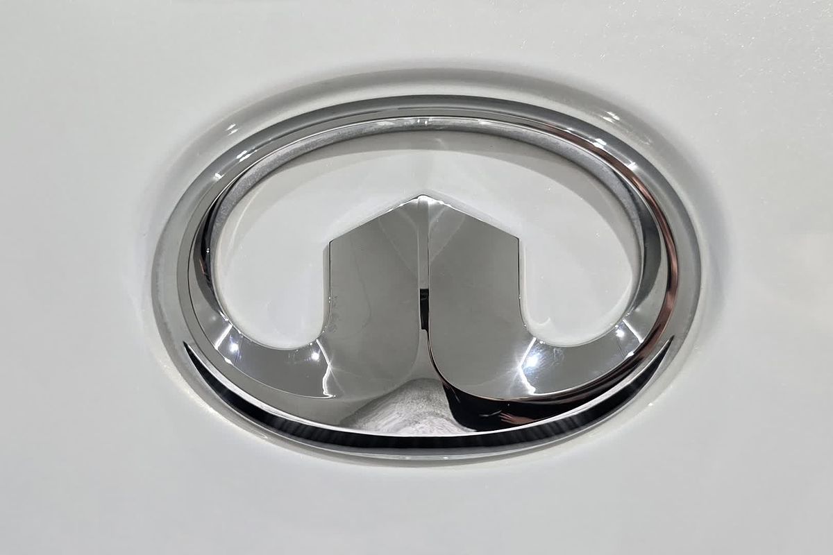 2022 GWM Ute Cannon-L NPW 4X4