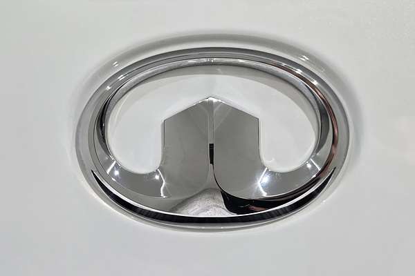 2022 GWM Ute Cannon-L NPW 4X4