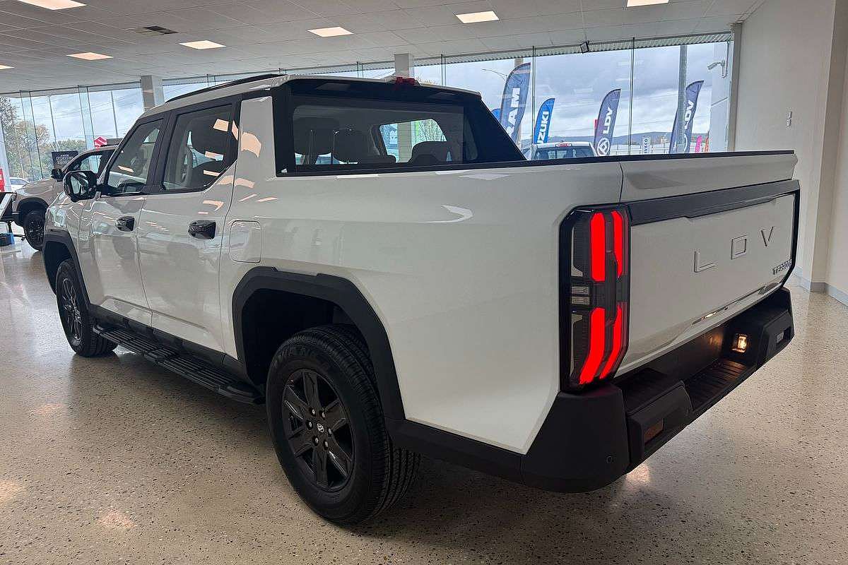 2025 LDV Terron 9 Origin EKK1C 4X4