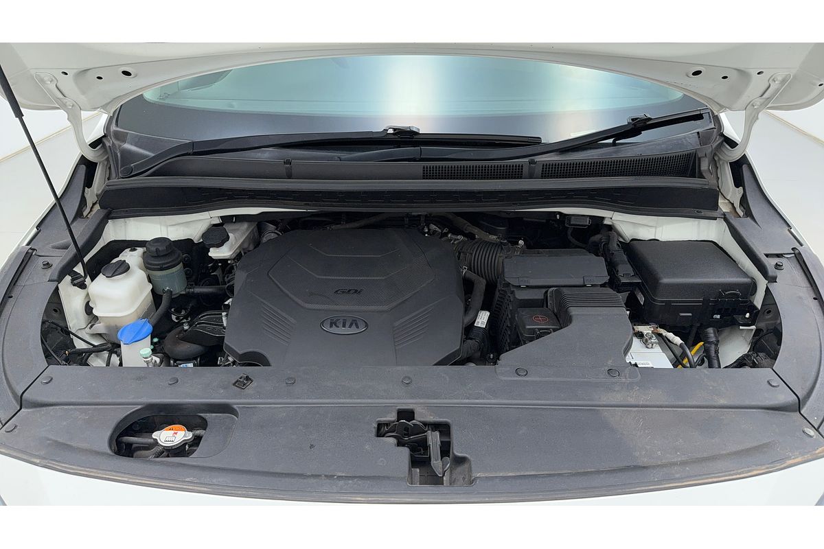 2019 Kia Carnival S YP