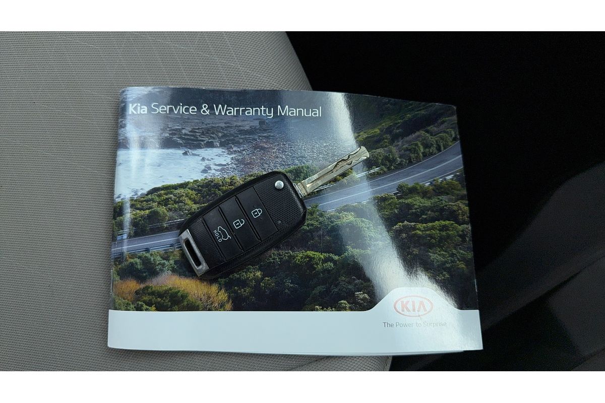 2019 Kia Carnival S YP