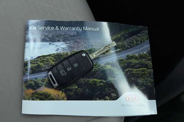 2019 Kia Carnival S YP