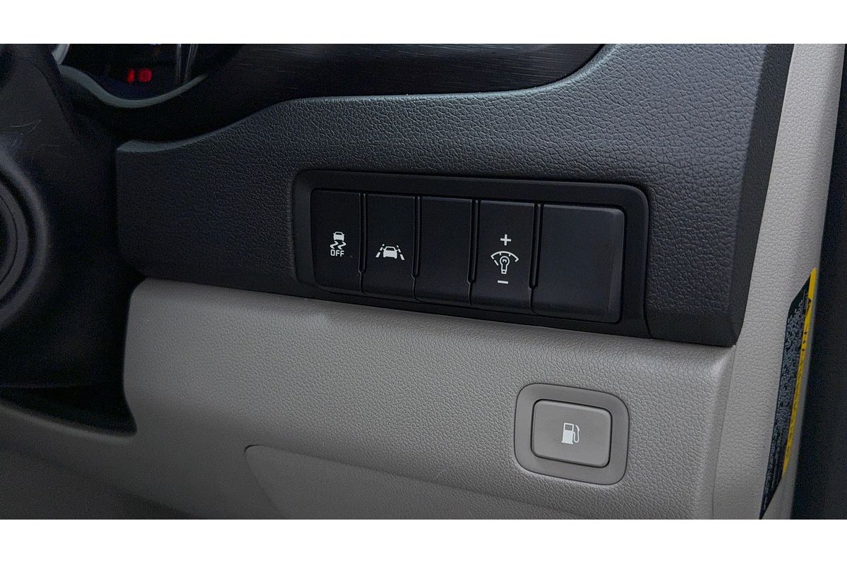 2019 Kia Carnival S YP