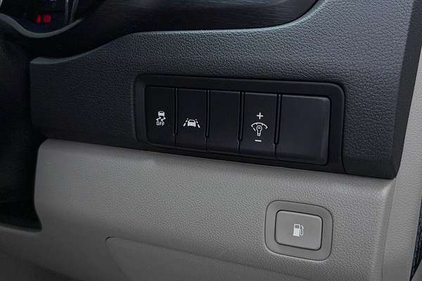 2019 Kia Carnival S YP