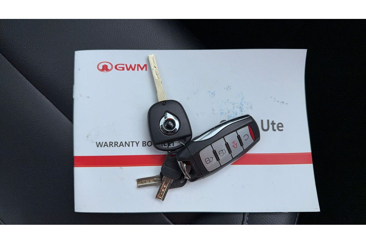 2021 GWM Ute Cannon NPW Rear Wheel Drive