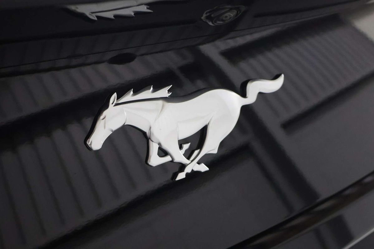 2025 Ford Mustang Ecoboost FO