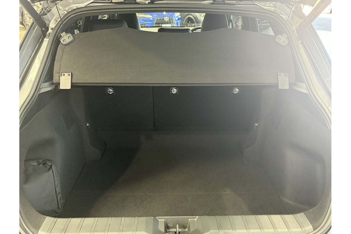 2024 Lexus LBX Sports Luxury MAYH10R