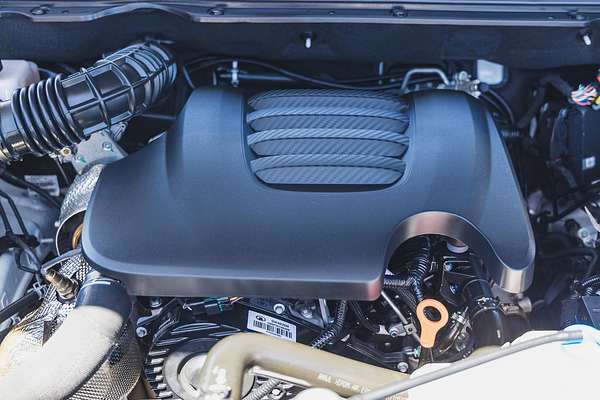 2023 GWM Ute Cannon CC NPW