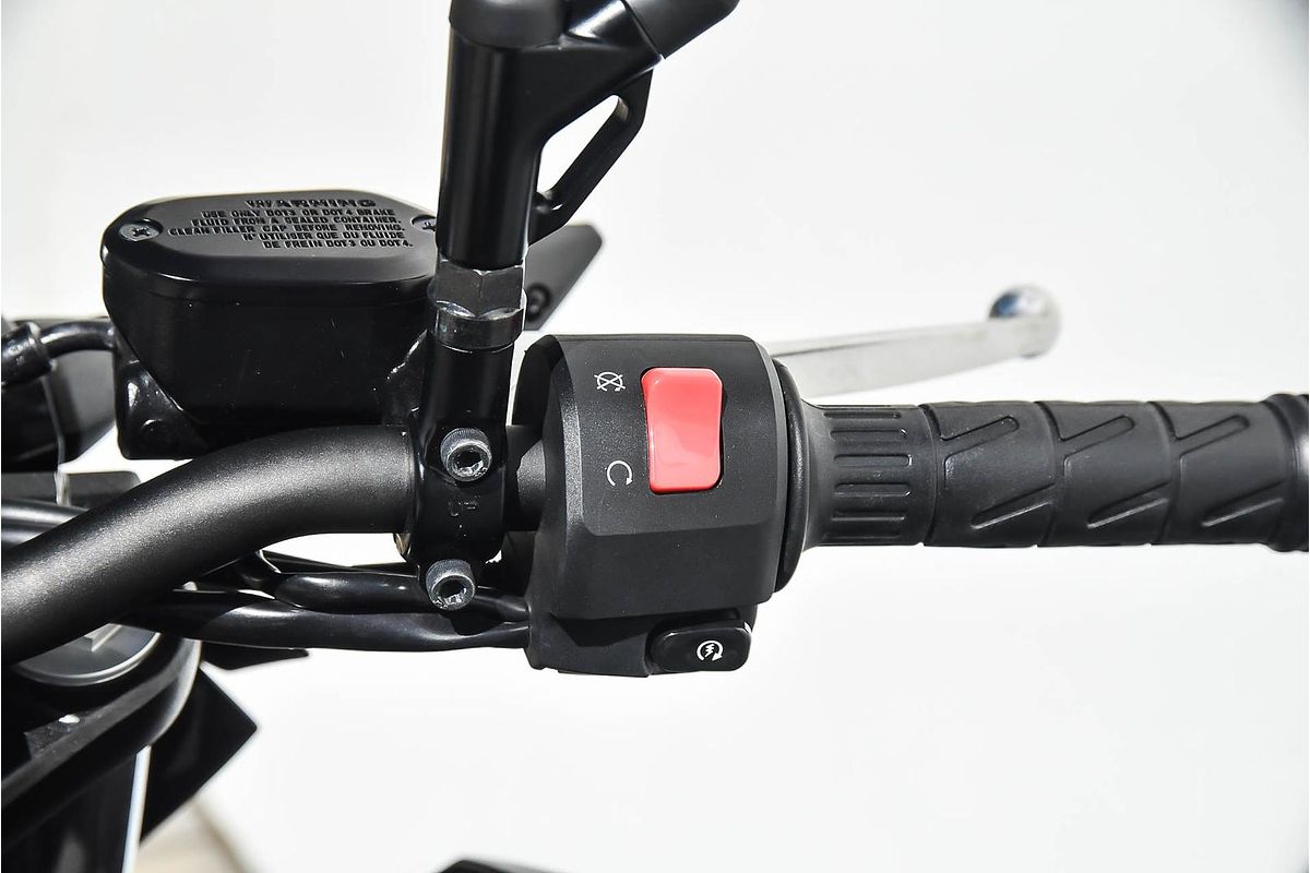 2024 Kawasaki Z500 SE Z