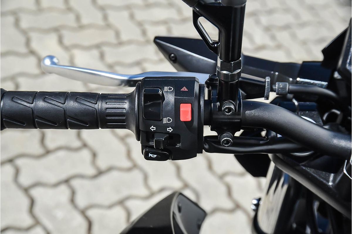 2024 Kawasaki Z500 SE Z