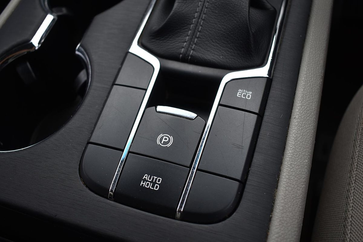 2018 Kia Carnival S YP