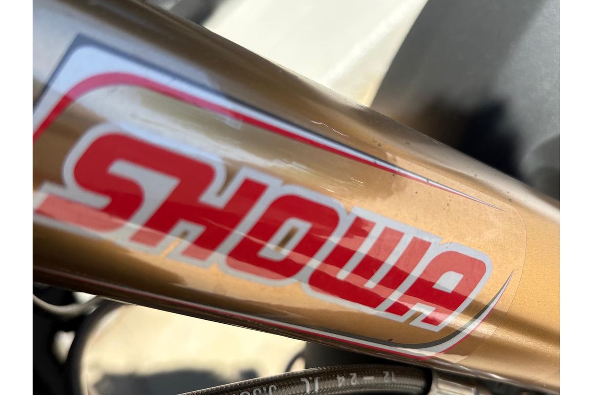 2025 BMW F 900 GS Enduro F 900