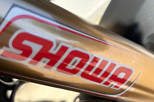 2025 BMW F 900 GS Enduro F 900