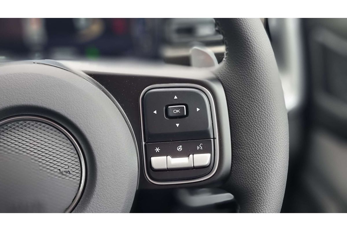 2025 GWM Ute Cannon Premium NPW 4X4