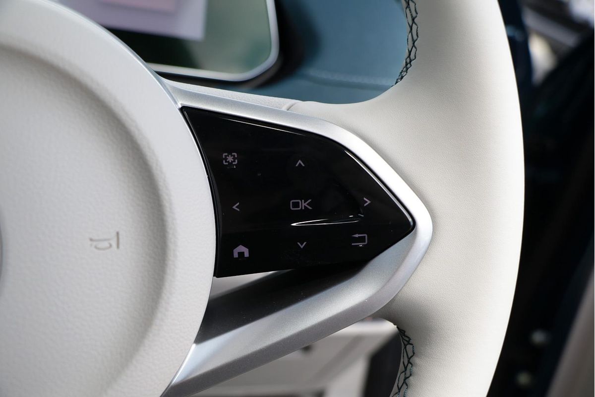 2025 GWM Ora Lux ES11