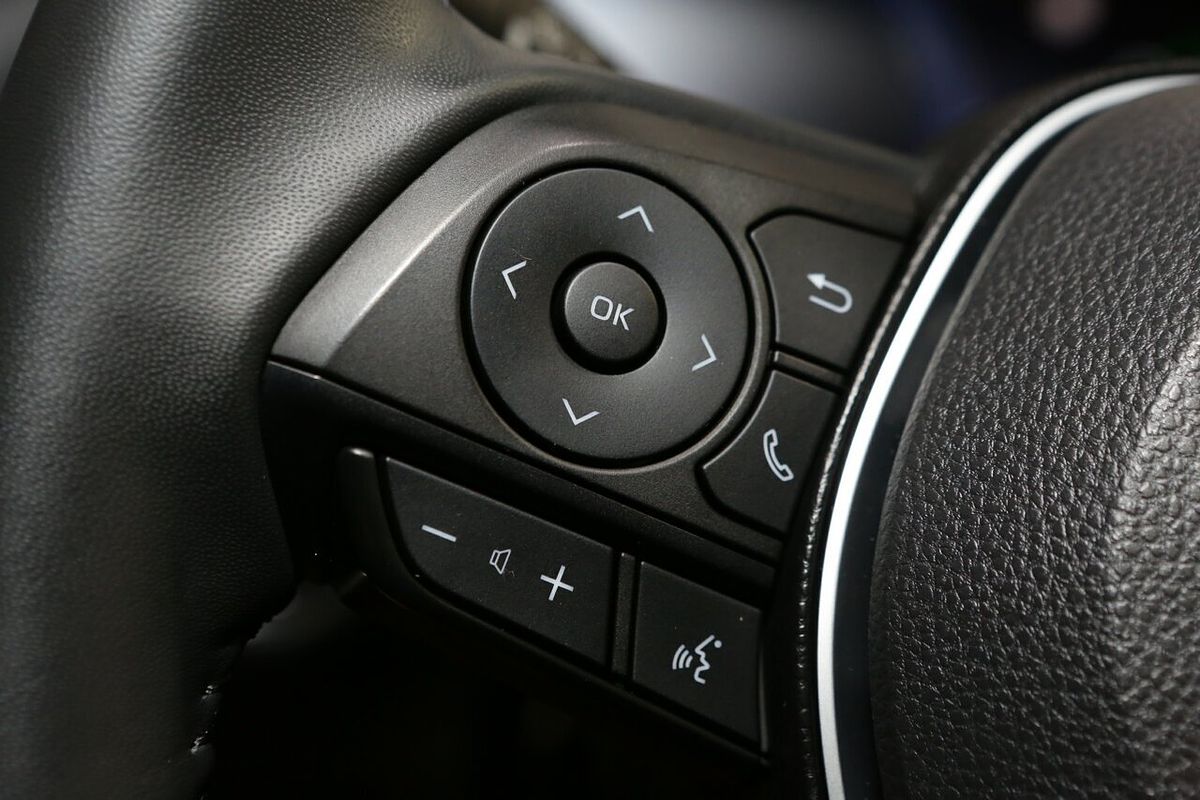 2024 Toyota RAV4 Cruiser AXAH52R