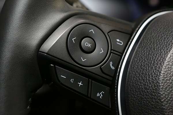 2024 Toyota RAV4 Cruiser AXAH52R