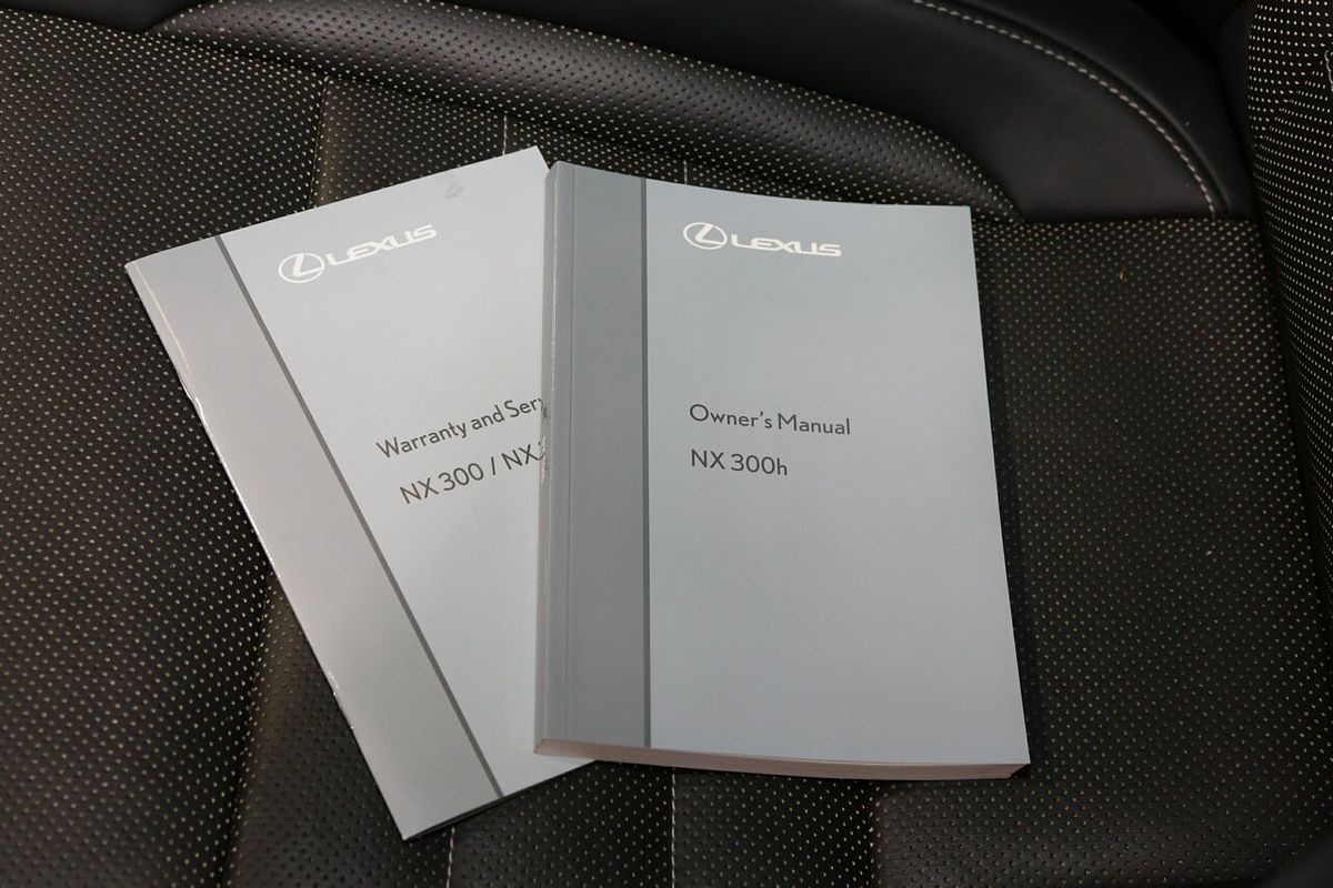 2021 Lexus NX NX300h F Sport AYZ10R